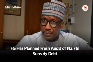 FG Fresh Audit of N2.7tn Subsidy Debt