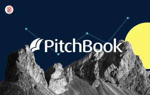 PitchBook Competitors