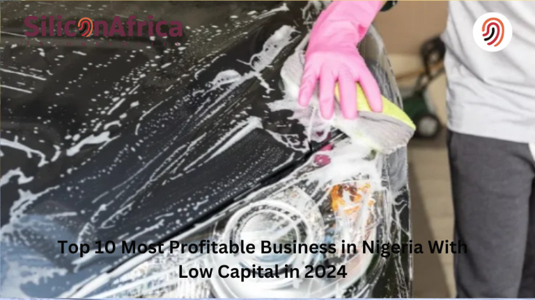 most profitable business in nigeria with low capital