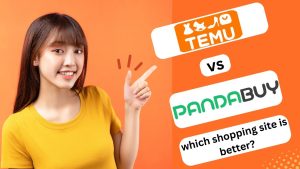 Temu vs Pandabuy
