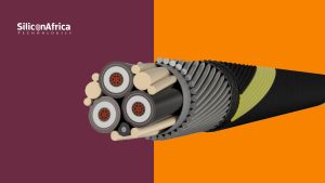 Medusa to Lower Telecoms Expenses in West Africa