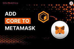 How to Import Core to Metamask