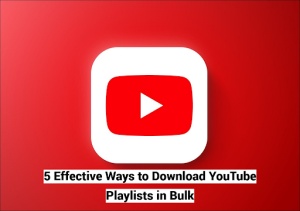 download youtube playlist in bulk