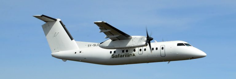 safarilink online check in