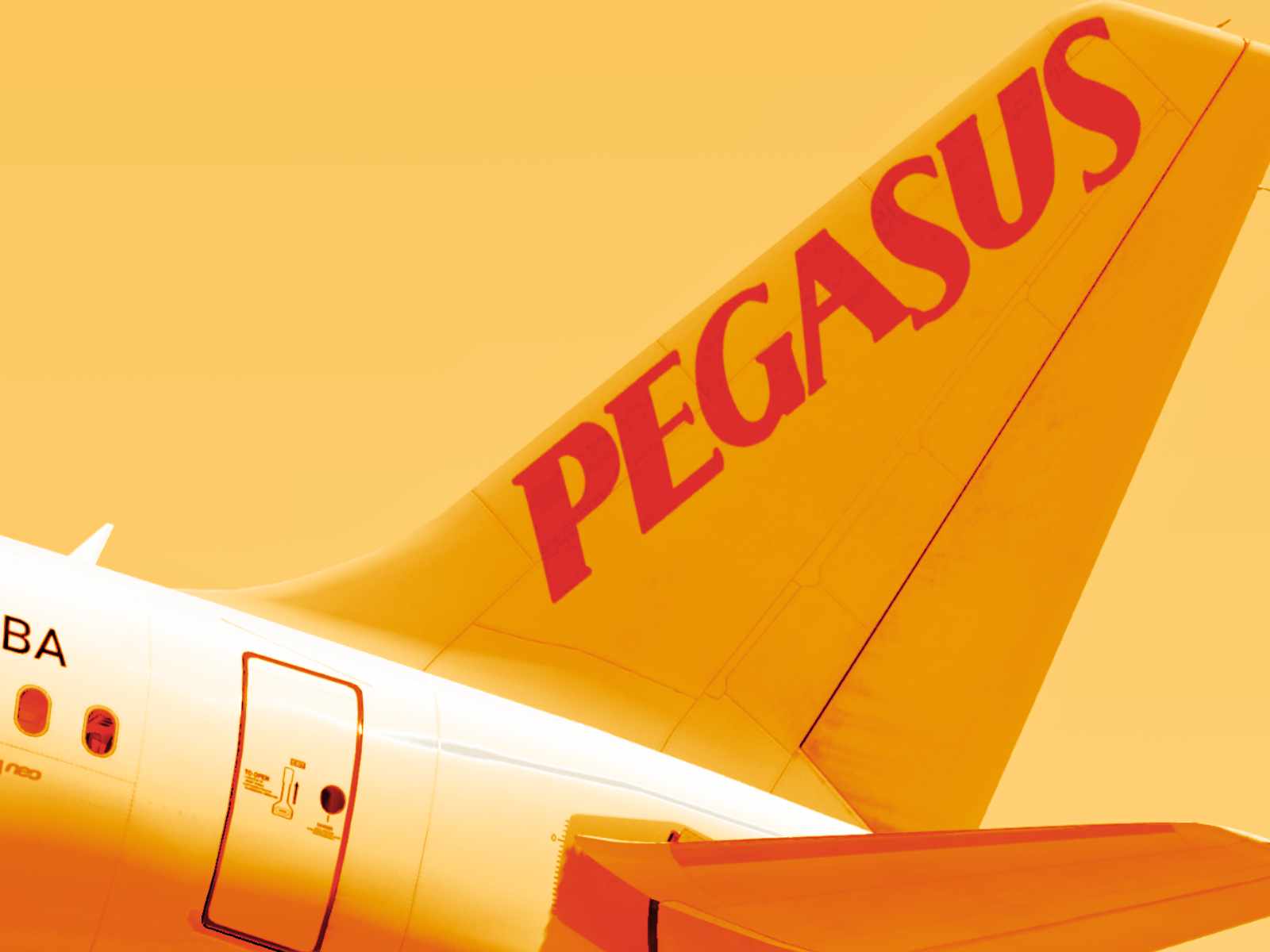 Pegasus Check in Online