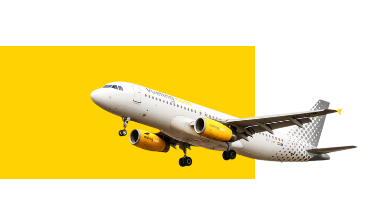 Vueling Online Check in