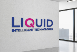 Liquid Zambia Launches a Digital Portal for SMEs